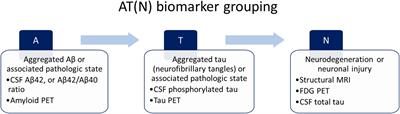 Diagnostic Accuracy of Blood-Based Biomarker Panels: A Systematic Review